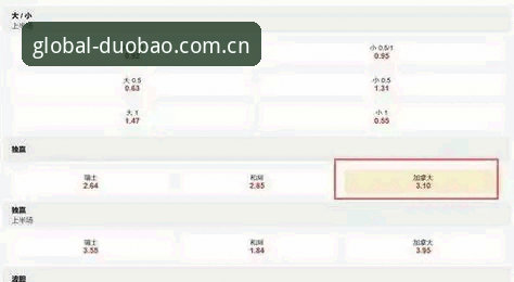 多宝体育平台投注指南：理解赔率背后的逻辑，才算真正入门